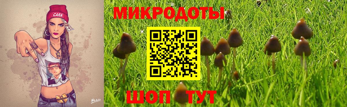 Долгопрудный  Псилоцибиновые грибы Psilocybine cubensis  Вход с VPN  Галлюциногенные грибы мухоморы 